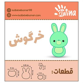 کاترآرتیناخرگوش
